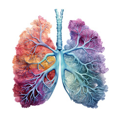 Colorful lung bronchioles concept isolated background - obrazy, fototapety, plakaty