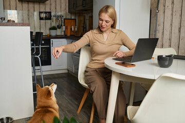 Young caucasian dog owner giving treat to her pet while sitting in kitchen at home