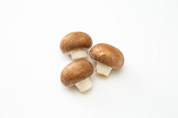 白背景にマッシュルーム