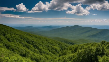 Fototapeta premium A beautiful view of a green forest with mountains in the background