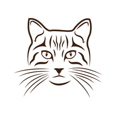 illustration of a cat