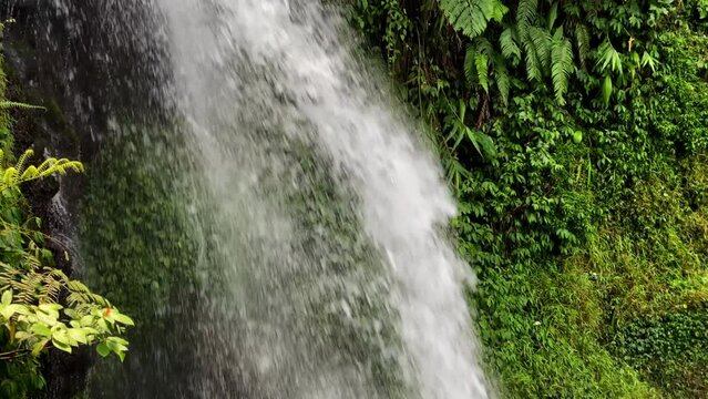 detail shot of a waterfall cliff on bogor indonesia, pan camera movement from top to bottom