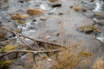 Strong river current with lots of rocks and shrubs in winter