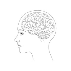 Woman, beautiful girl, brain in head concept line art vector flat design isolated on white background. Vector illustration