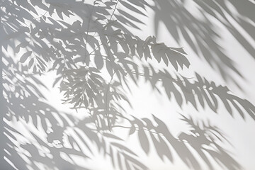 Tropical leaves natural shadow on white wall