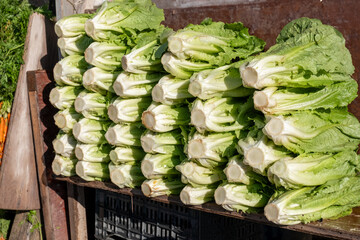 Lettuce available for sale at a roadside vegetable stand under the sun on the main road a...
