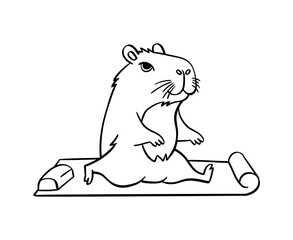 A cute capybara does yoga. Vector illustration hand drawn. For coloring books, postcards, templates.