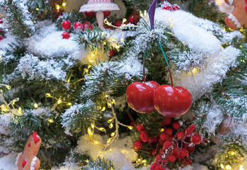 Juicy red cherries on a snow-covered Christmas tree.