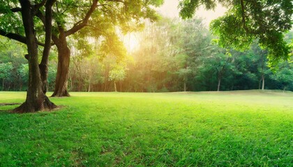 Fototapeta na wymiar green lawn and trees background with copyspace nature background concept generative ai