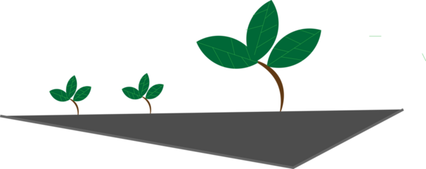 Various tree vectors