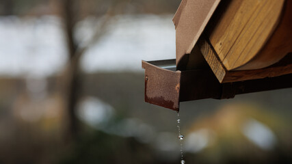 Spring Thaw: Close-up of Water Dripping from Cottage Gutter