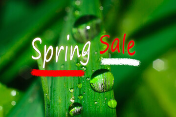 Text spring sale on light green background. Can be used for web banners, wallpaper, flyers, voucher...