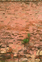 Very old damaged red brick wall with boneless bricks and cement mortar