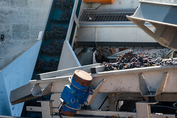 Harvest equipment and works in Saint-Emilion wine making region on right bank of Bordeaux, picking,...