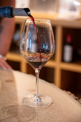Tasting of red dry Saint-Emilion wine aged in French oak wooden barrels in cellar, Saint-Emilion great wines making region, France, Bordeaux