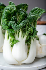 Young organic white bok choy or bak choi Chinese cabbage ready to cook