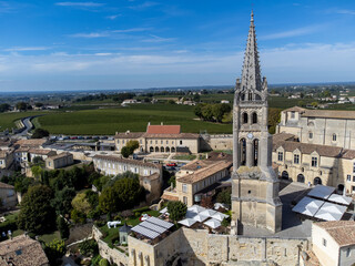 Aerial views of green vineyards, old houses and streets of medieval town St. Emilion, production of...