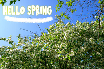 Spring banner. Hello, Spring. The beginning of the spring season. Blooming apple trees