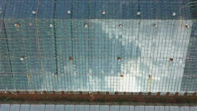 Aerial view of big industrial glass hothouses with clouds reflection