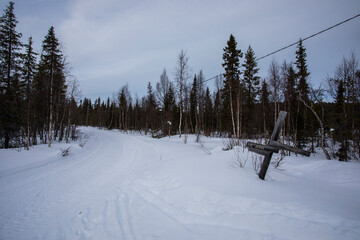 Ski expedition in Pallas Yllastunturi National Park , Lapland, Finland