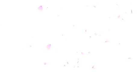 Fantastic cherry blossom particles (transparent background) png with alpha channel, spring image, overlay,