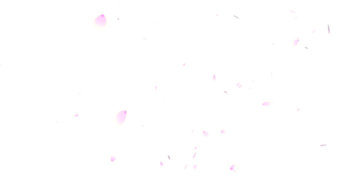 Fantastic cherry blossom particles (transparent background) png with alpha channel, spring image, overlay,