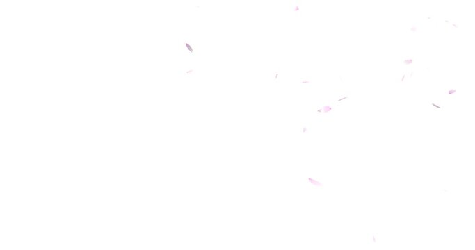 Fantastic particle animation of falling cherry blossoms (transparent background) with alpha channel, spring image, overlay,