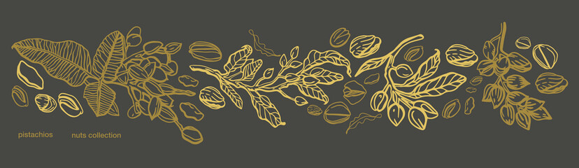 Vector hand drawn pistachio tree branch set with leaves and nuts. Botanical drawing. Vintage style. Nuts and seeds collection.	 - obrazy, fototapety, plakaty