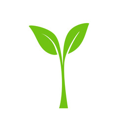 Green leaves isolated on white. Vector illustration design element