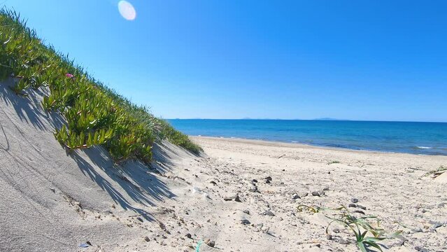 Walk in Platamona beach on a sunny day. Sardinia