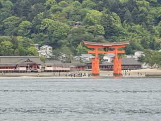 Water Tree Chinese architecture Plant Lake Torii