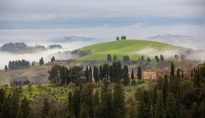 fog in the mountains of Tuscany - 695999758
