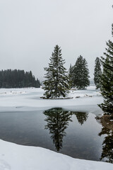 Obraz premium Lenzerheide, Valbella, Heidsee, Bergsee, Uferweg, Wanderweg, Winterwanderung, Langlauf, Loipe, Winterlandschaft, Seeufer, Spiegelung, Alpen, Wald, Tannen, Eis, Winter, Graubünden, Schweiz 