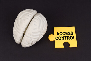 On a black surface lies a brain and a yellow puzzle with the inscription - ACCESS CONTROL