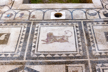 Pompeii Naples Italy, along with Herculaneum and many villas in the surrounding area (e.g. at Boscoreale, Stabiae), was buried of volcanic ash and pumice in the eruption of Mount Vesuvio