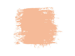 Color of the Year 2024 peach fuzz sample Vector paint brush spot Hand painted trendy color background Ink scribble dab clipart