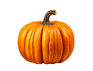 Obraz premium pumpkin isolated on white background.