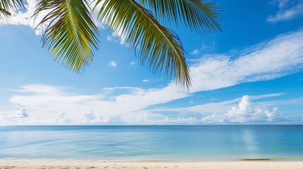 A tropical beach filled with sea and sand, coconut palm trees, and a blue sky with white clouds is a sight to see.