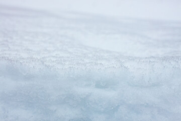 crust on snow, hard melted layer on top of a snowdrift