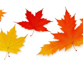 Autumn maple leaves isolated on white background. 3D illustration.