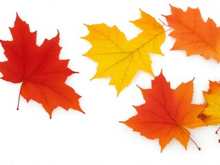 Fototapeta premium Autumn maple leaves isolated on white background. 3D illustration.