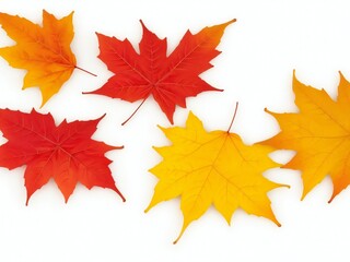 Autumn maple leaves isolated on white background. 3D illustration.