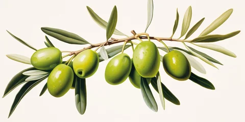 Zelfklevend Fotobehang Green olives on an olive twig. © ckybe