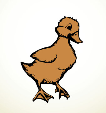 recommend clip art: Cute duckling. Vector outline drawing