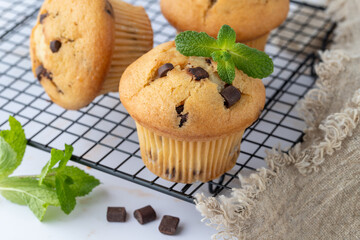 Fresh baked chocolate chips muffins with mint leaves on black metal baking rack on white yellow marble table background. Banana cupcake with dark chocolate pieces closeup