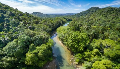 Fototapeta na wymiar river in rainforest drone view