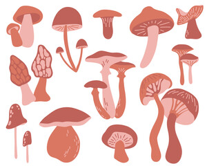 Vector set with edible and inedible mushrooms in brown color