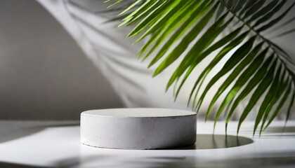Modern white and gray geometric pedestal podium with green palm leaf. Platform in shadow. 