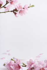 Empty white podium or pedestal for cosmetics product decorated with cherry blossom twigs. Spring cosmetic template.