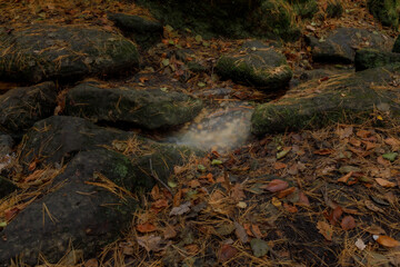 stream in autumn